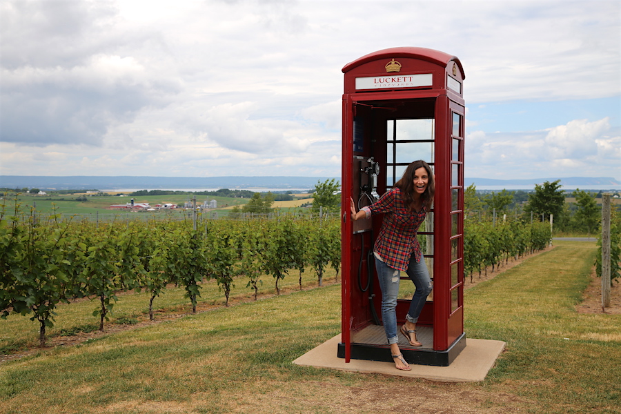 Call someone at the Vineyard Phone box